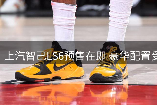 上汽智己LS6预售在即 豪华配置受瞩目